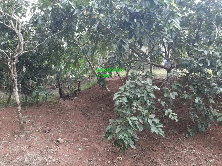 Foto 4 de Chácara com 1 quarto à venda, 100m2 em Miracatu - SP