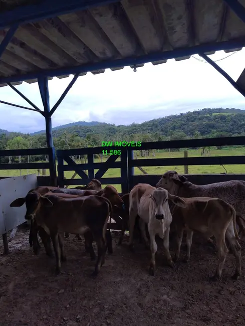 Foto 6 de Fazenda / Haras com 2 quartos à venda, 500m2 em Miracatu - SP
