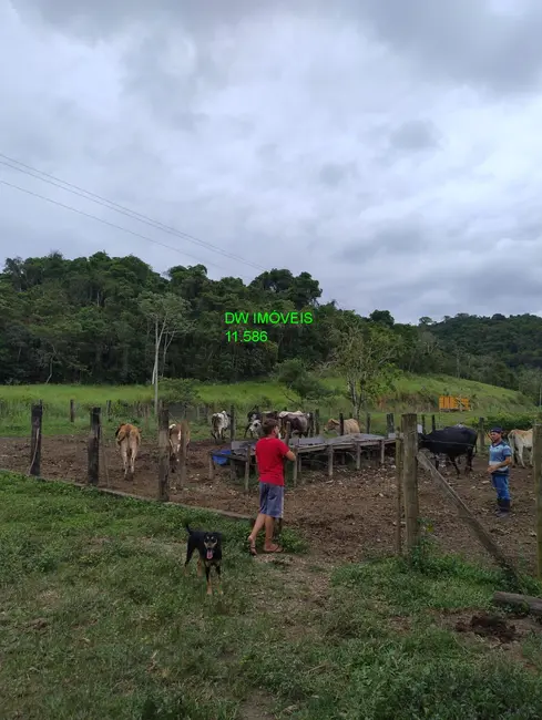 Foto 2 de Fazenda / Haras com 2 quartos à venda, 500m2 em Miracatu - SP