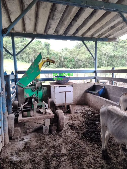 Foto 4 de Fazenda / Haras com 2 quartos à venda, 500m2 em Miracatu - SP
