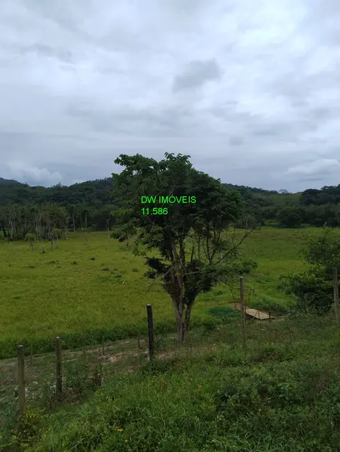 Foto 7 de Fazenda / Haras com 2 quartos à venda, 500m2 em Miracatu - SP