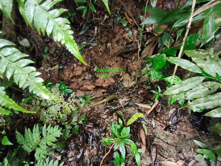 Foto 1 de Sítio / Rancho com 1 quarto à venda, 90m2 em Juquitiba - SP