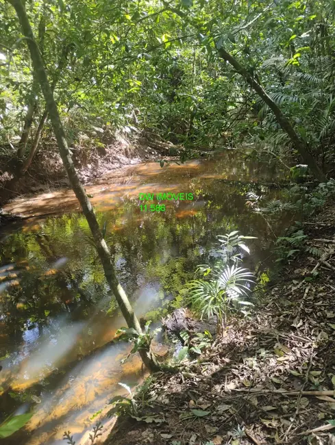 Foto 7 de Terreno / Lote à venda, 60000m2 em Juquitiba - SP