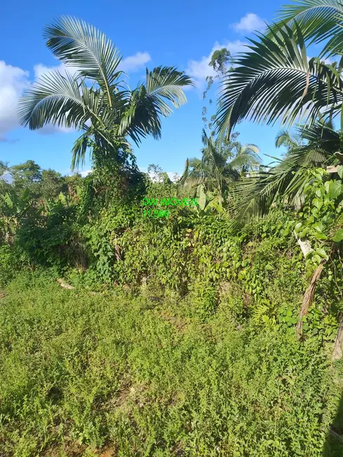 Foto 5 de Chácara com 3 quartos à venda, 500m2 em Juquia - SP