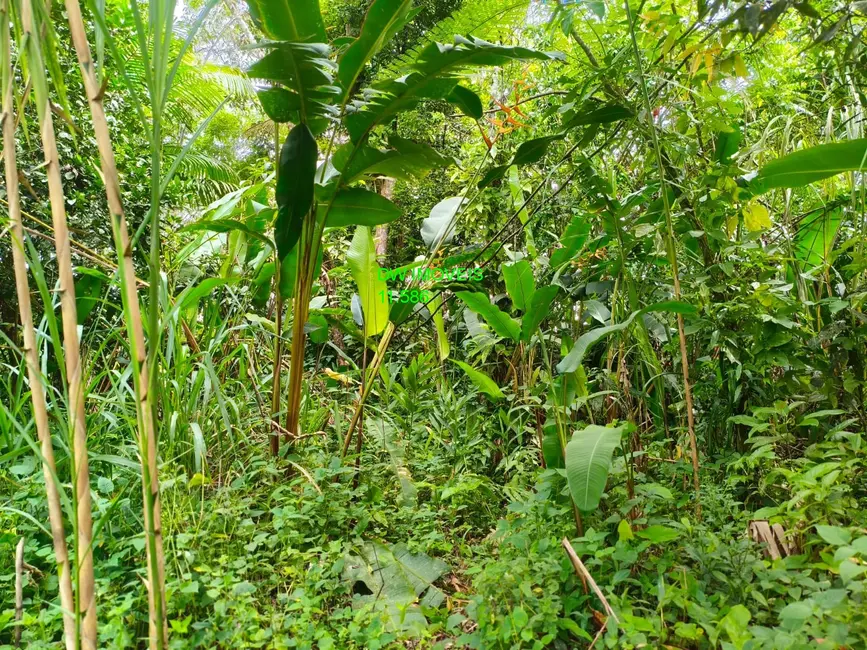 Foto 5 de Terreno / Lote à venda, 1700m2 em Miracatu - SP