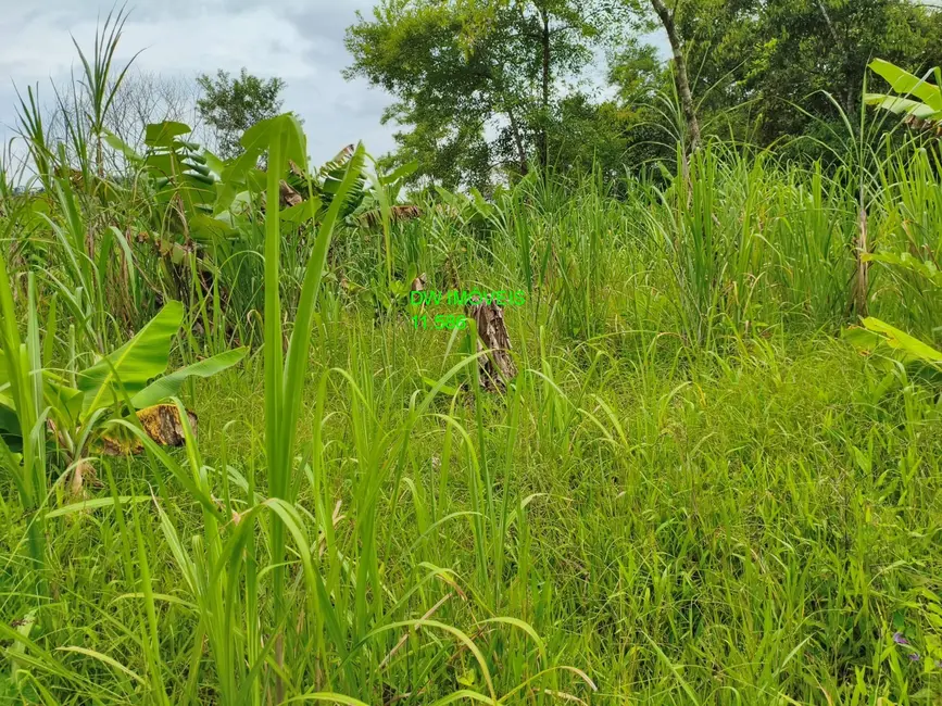Foto 8 de Terreno / Lote à venda, 1700m2 em Miracatu - SP
