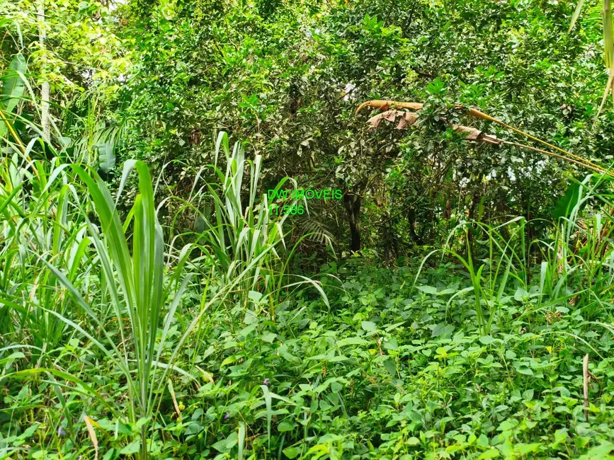 Foto 6 de Terreno / Lote à venda, 1700m2 em Miracatu - SP