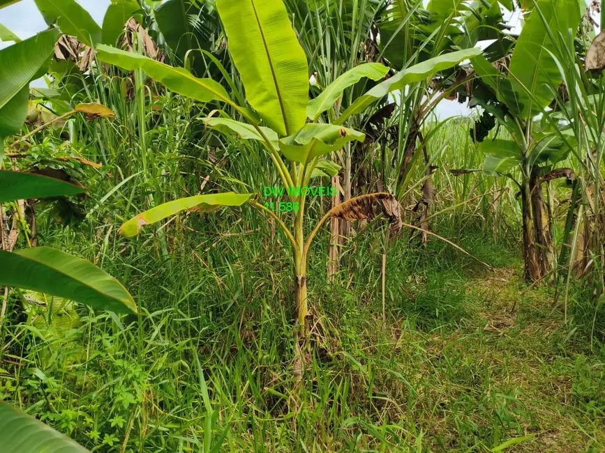 Foto 3 de Terreno / Lote à venda, 1700m2 em Miracatu - SP