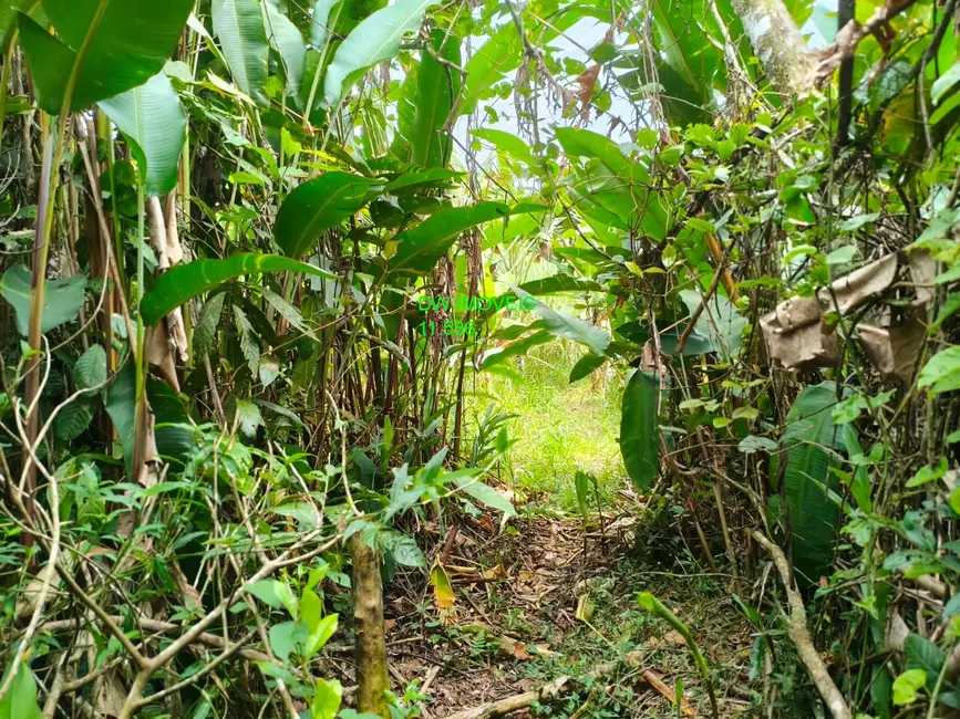 Foto 4 de Terreno / Lote à venda, 1700m2 em Miracatu - SP