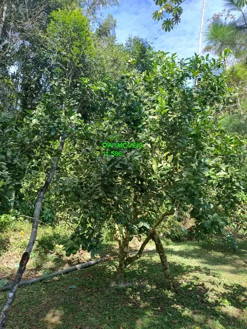 Foto 3 de Chácara com 2 quartos à venda, 200m2 em Juquitiba - SP