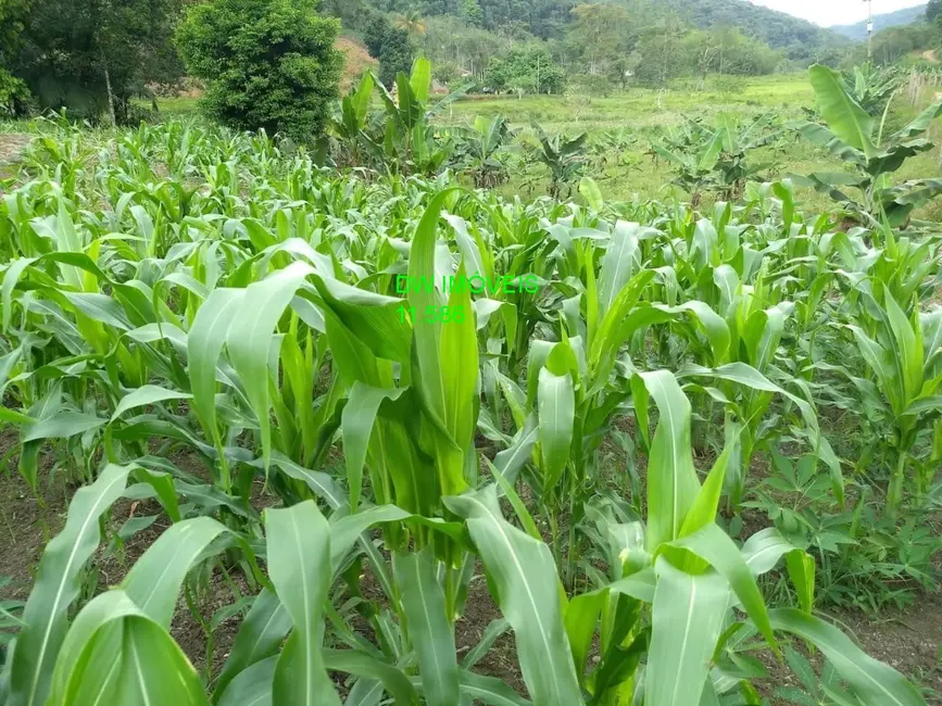 Foto 2 de Sítio / Rancho com 2 quartos à venda, 200m2 em Juquia - SP