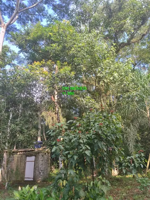 Foto 9 de Chácara com 1 quarto à venda, 70m2 em Miracatu - SP