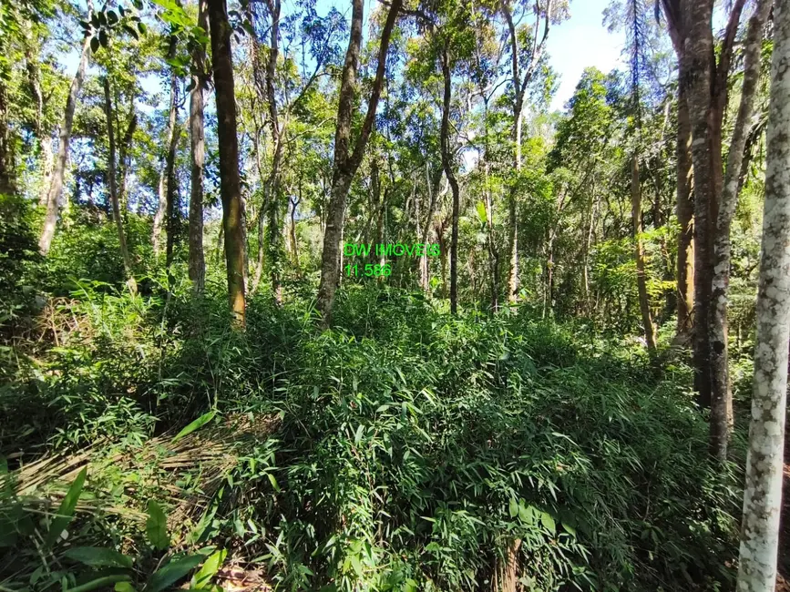 Terreno / Lote à venda, 1100m2 em Juquitiba - SP - imagem 8 Foto 8 de Terreno / Lote à venda, 1100m2 em Juquitiba - SP