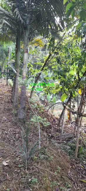 Foto 9 de Chácara com 3 quartos à venda, 120m2 em Miracatu - SP