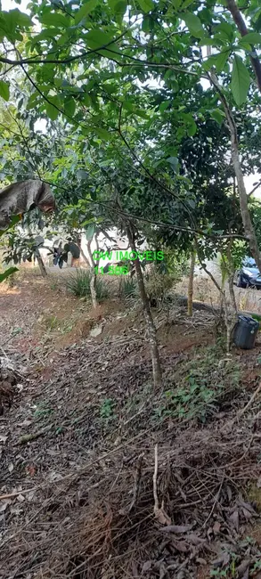Foto 5 de Chácara com 3 quartos à venda, 120m2 em Miracatu - SP