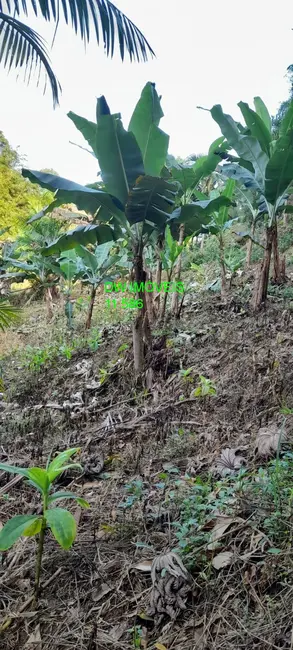 Foto 3 de Chácara com 3 quartos à venda, 120m2 em Miracatu - SP