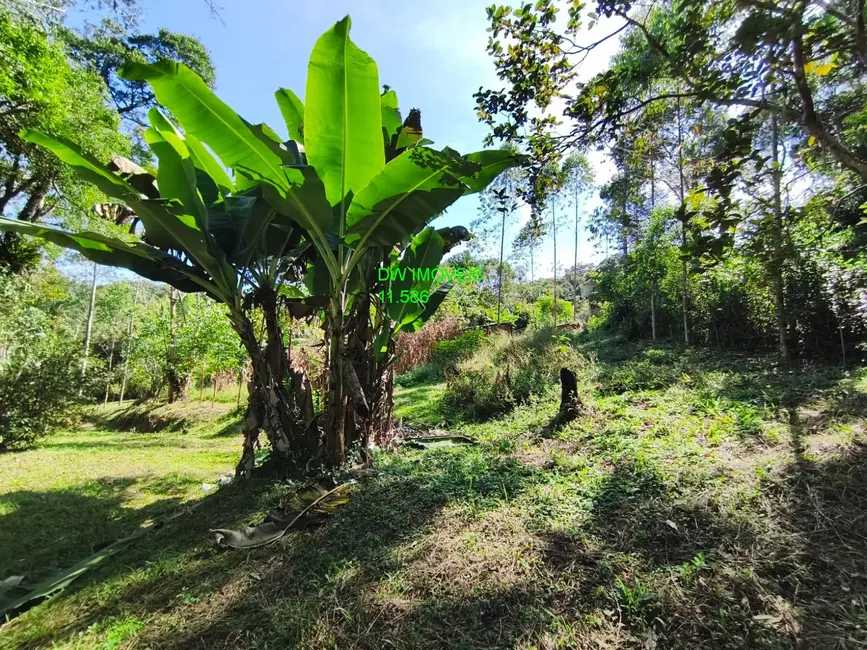 Foto 5 de Terreno / Lote à venda, 1650m2 em Juquitiba - SP