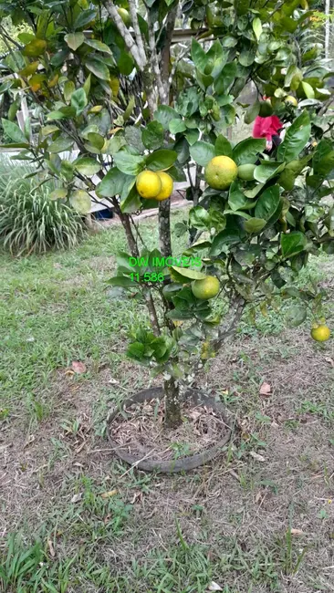 Foto 4 de Sítio / Rancho com 2 quartos à venda, 550m2 em Miracatu - SP