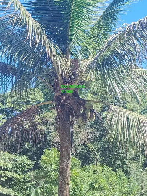 Foto 7 de Sítio / Rancho com 1 quarto à venda, 40m2 em Juquia - SP
