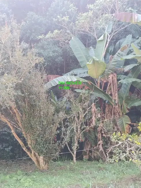 Foto 3 de Chácara com 2 quartos à venda, 90m2 em Juquitiba - SP