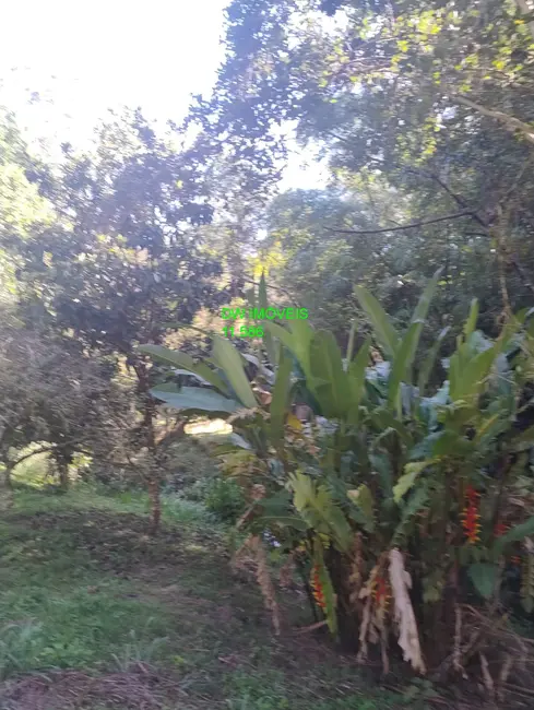 Foto 6 de Chácara com 2 quartos à venda, 90m2 em Juquitiba - SP