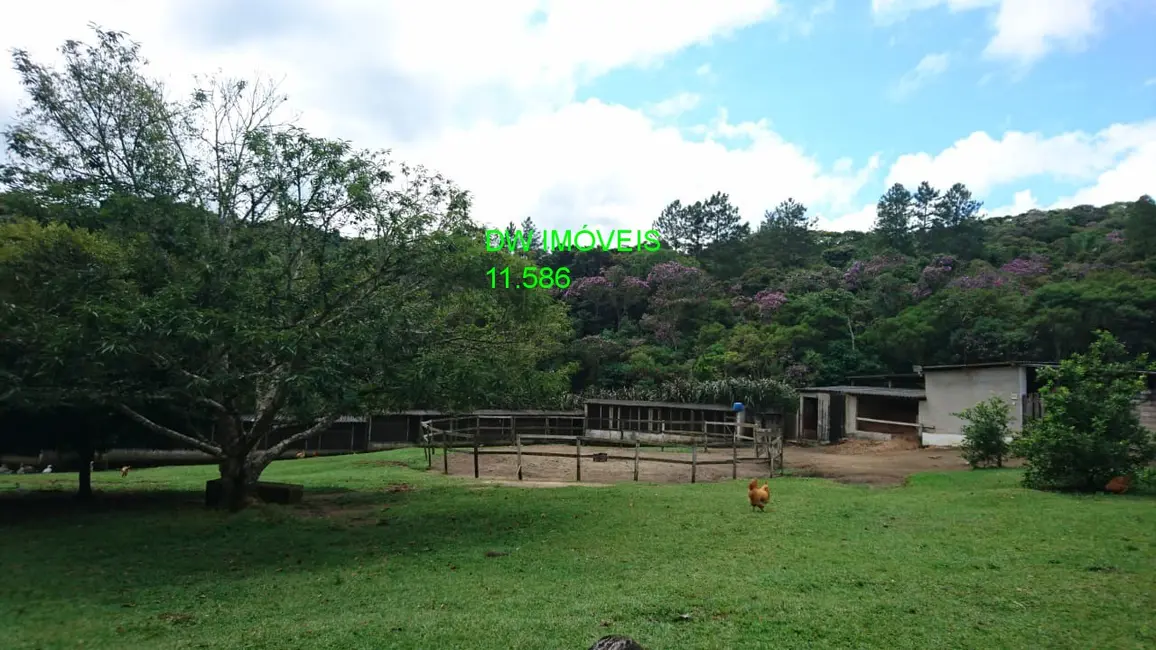 Foto 9 de Sítio / Rancho com 3 quartos à venda em Juquitiba - SP