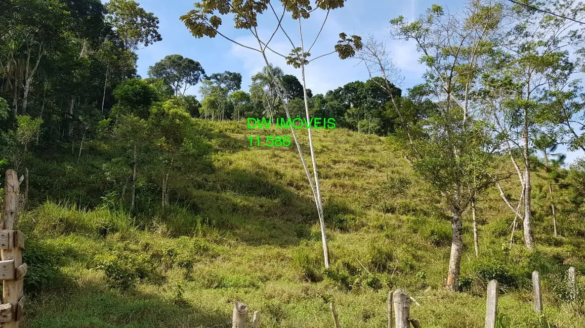 Foto 2 de Sítio / Rancho com 3 quartos à venda, 250m2 em Juquia - SP