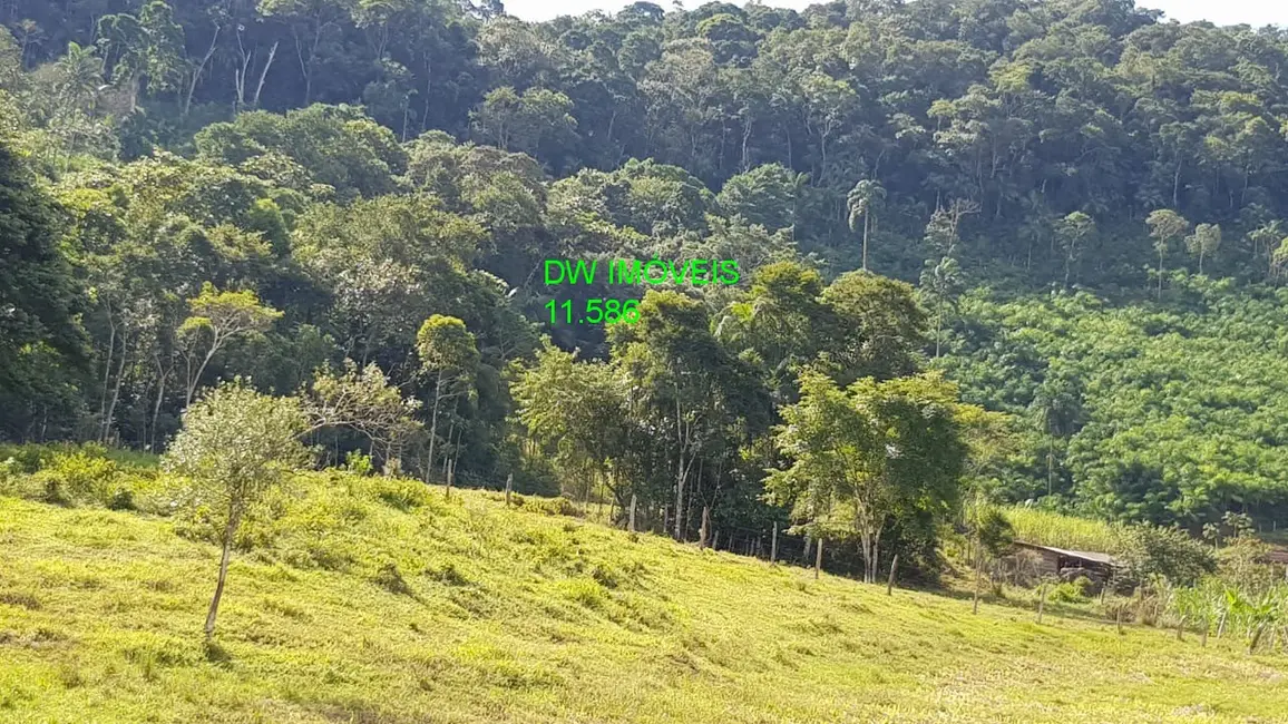 Foto 4 de Sítio / Rancho com 3 quartos à venda, 250m2 em Juquia - SP
