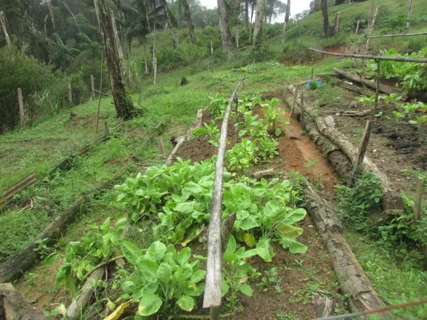 Foto 5 de Sítio / Rancho à venda, 250m2 em Juquitiba - SP