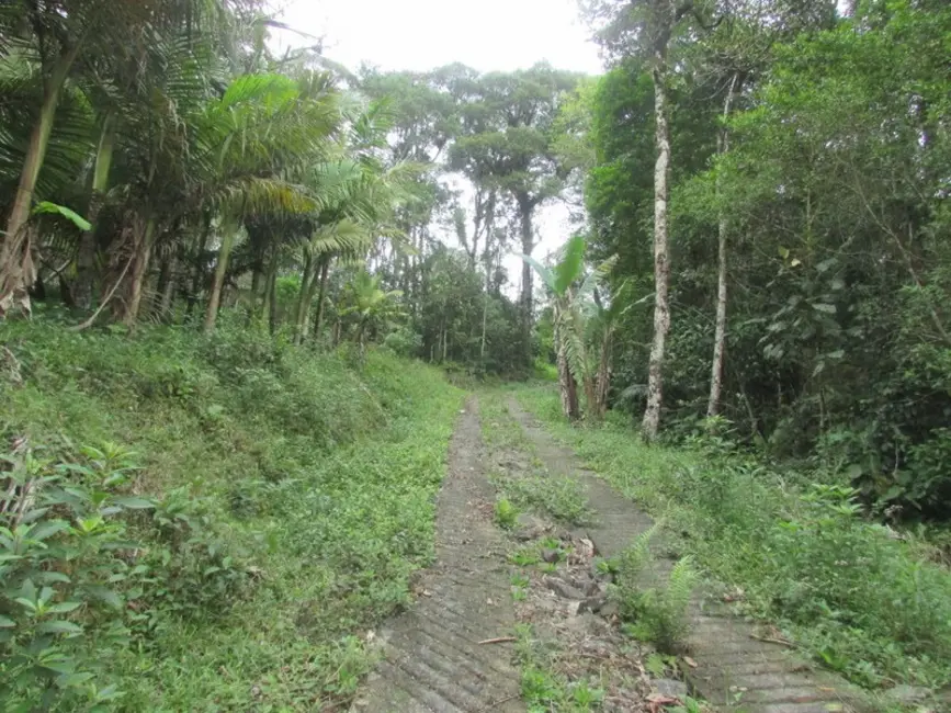 Foto 3 de Sítio / Rancho à venda, 250m2 em Juquitiba - SP