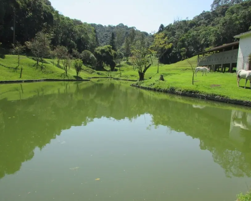 Foto 1 de Sítio / Rancho com 4 quartos à venda, 2000m2 em Sao Lourenco Da Serra - SP