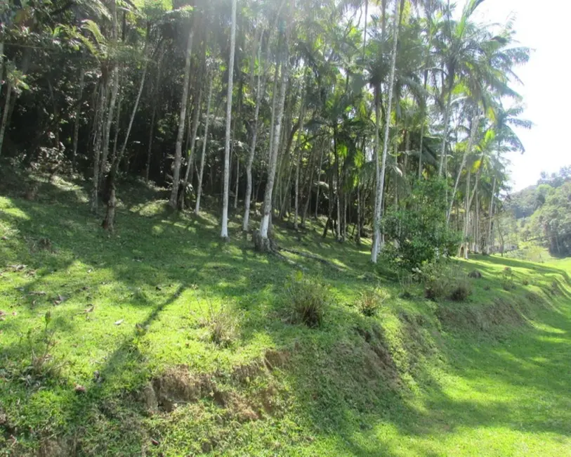 Foto 5 de Sítio / Rancho com 4 quartos à venda, 2000m2 em Sao Lourenco Da Serra - SP
