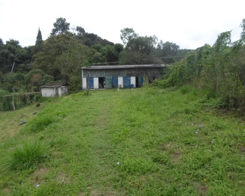 Foto 1 de Sítio / Rancho com 1 quarto à venda, 250m2 em Juquitiba - SP