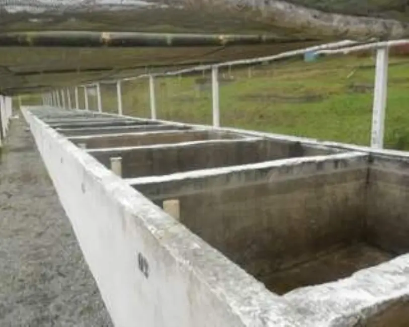 Foto 4 de Sítio / Rancho com 4 quartos à venda, 3000m2 em Juquitiba - SP