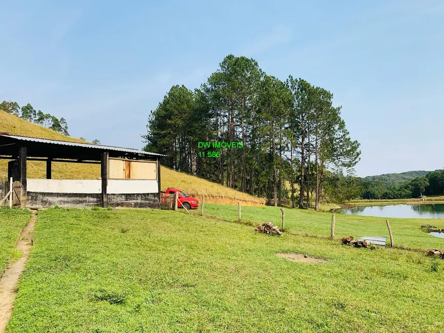 Foto 9 de Sítio / Rancho com 2 quartos à venda, 350m2 em Juquitiba - SP