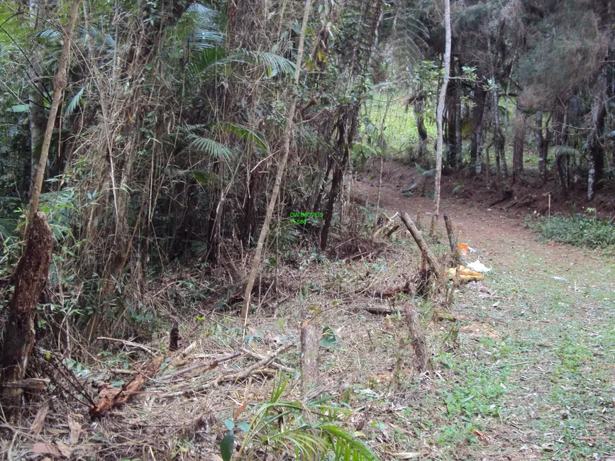 Foto 5 de Terreno / Lote à venda, 10000m2 em Barnabés, Juquitiba - SP