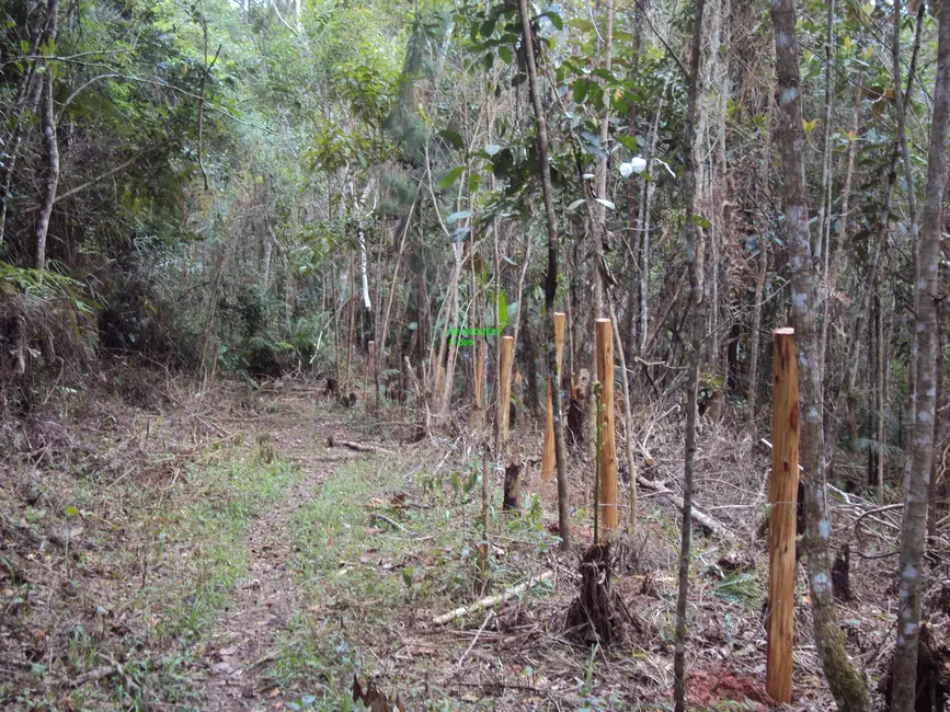 Foto 1 de Terreno / Lote à venda, 10000m2 em Barnabés, Juquitiba - SP