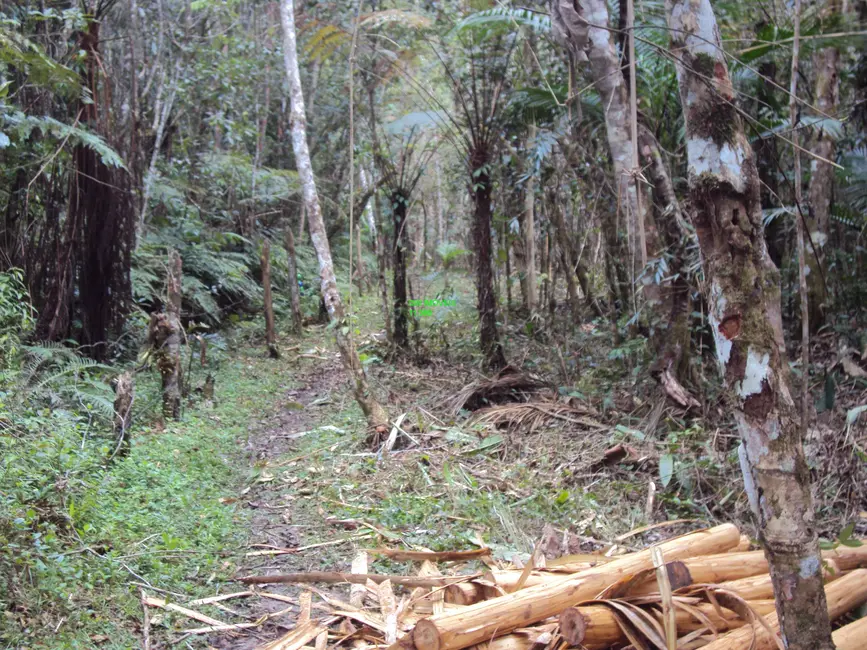 Foto 4 de Terreno / Lote à venda, 10000m2 em Barnabés, Juquitiba - SP