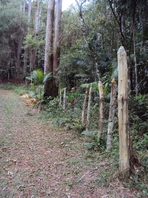 Foto 8 de Terreno / Lote à venda, 10000m2 em Barnabés, Juquitiba - SP