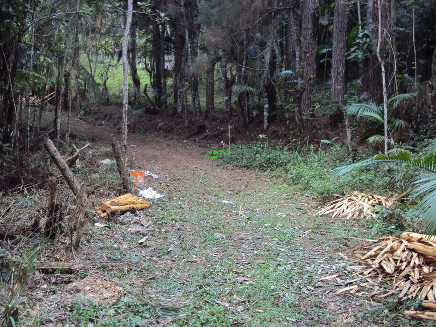 Foto 6 de Terreno / Lote à venda, 10000m2 em Barnabés, Juquitiba - SP