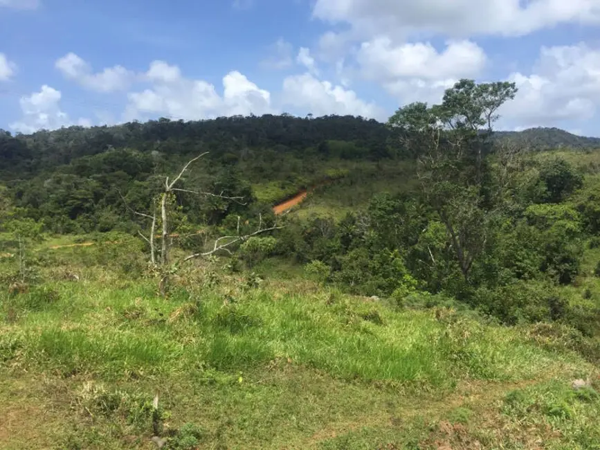 Foto 14 de Fazenda / Haras à venda em Ilheus - BA