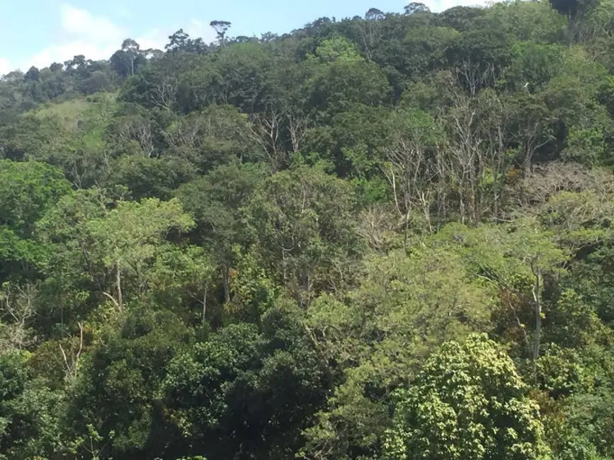 Foto 15 de Fazenda / Haras à venda em Ilheus - BA