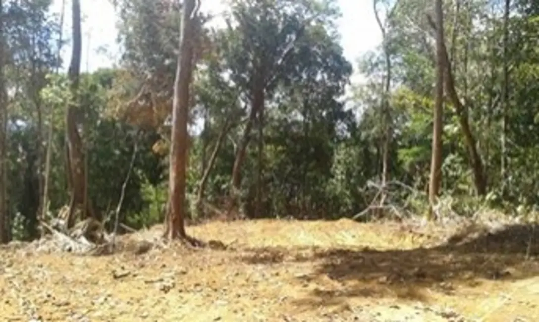 Foto 5 de Fazenda / Haras à venda em Ilheus - BA