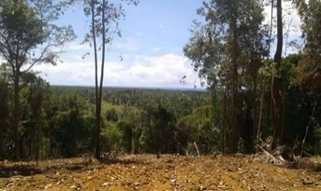 Foto 6 de Fazenda / Haras à venda em Ilheus - BA