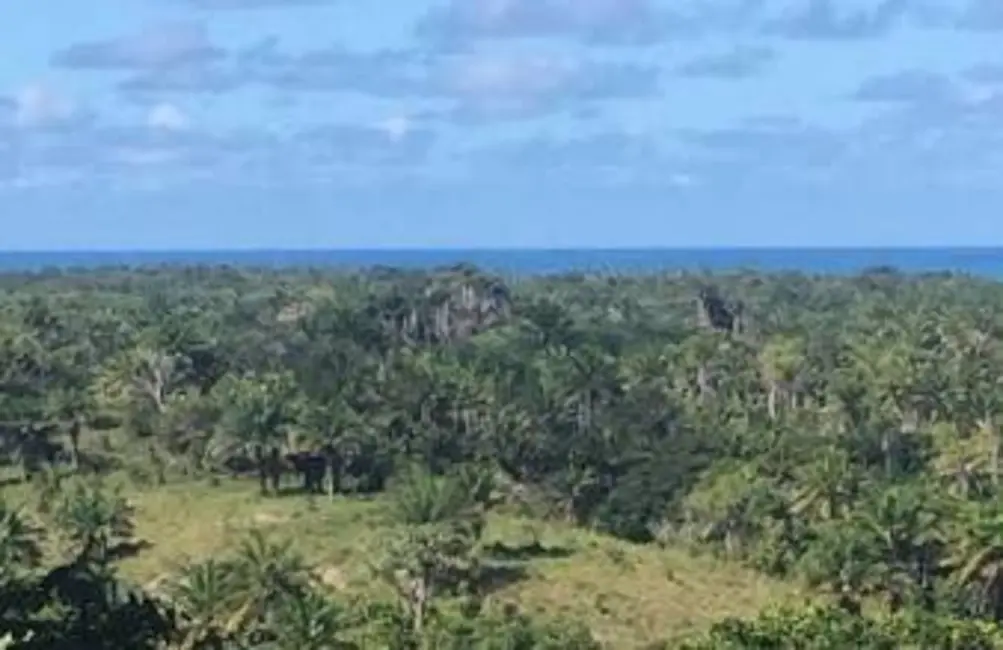 Foto 2 de Fazenda / Haras à venda em Ilheus - BA