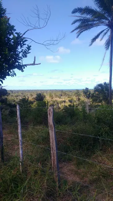 Foto 9 de Fazenda / Haras à venda em Ilheus - BA