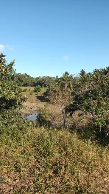 Foto 8 de Chácara à venda em Urucuca - BA