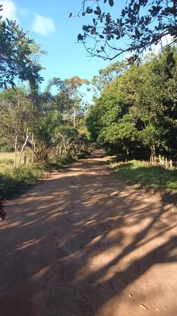 Foto 10 de Chácara à venda em Urucuca - BA