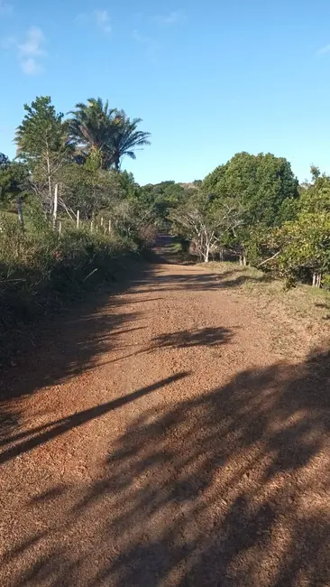 Foto 4 de Chácara à venda em Urucuca - BA