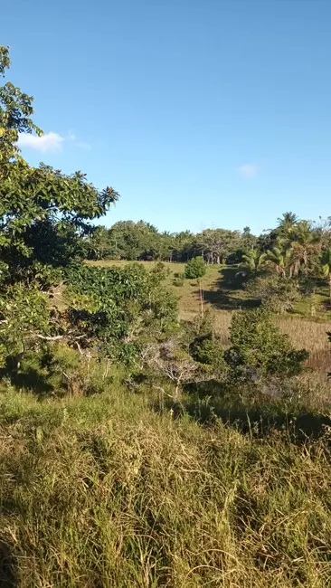 Foto 9 de Chácara à venda em Urucuca - BA
